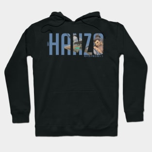Hanzo - Overwatch Hoodie